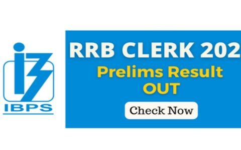 IBPS Clerk Result 2022: आईबीपीएस क्लर्क प्रीलिम्स रिजल्ट जारी, यहां से करें चेक