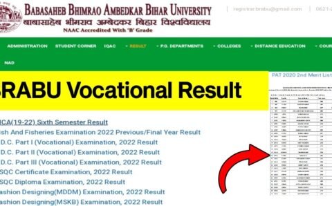 BRABU Vocational Result : बिहार यूनिवर्सिटी के सभी Vocational Courses परीक्षा का रीजल्ट जारी, यहां से करें डॉउनलोड